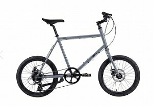 MASI }WB 2026 Carino J[m [O[EzCg]