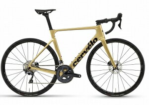 CERVELO �T�[���F�� 2023 SOLOIST R8020 ULTEGRA �\���C�X�g R8020 �A���e�O�� [�S�[���h�_�X�g] 56(183-188cm)�T�C�Y (�A�E�g���b�g��)