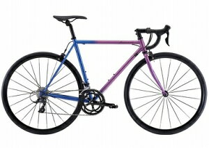 FUJI �t�W 2023 BALLAD �� �o���b�h �� [�p�[�v���u���[] 54(173-180cm)�T�C�Y (�A�E�g���b�g��)