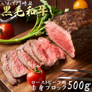 јa [Xgr[tp Ԑg ubN 500g A4N A5N  a Y   ؂  VN BBQ p  Mtg Ε NX}X v[g a j yY O