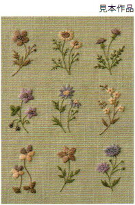 AgG h m hイyރvgNXyKYz No.542306 ȉԂ̃Tv[ hイLbg VA RX