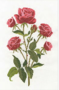 DMC �h���イ�L�b�g ROSE BK1893 �yKY�zGARDEN DISCOVERIES �N���X�X�e�b�`