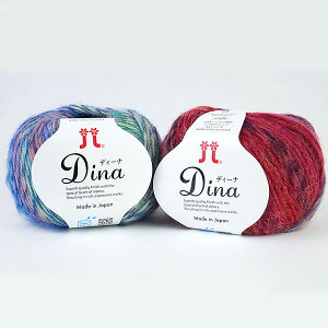 fB[i n}iJ yKYzю Dina hamanaka i ApJ Of[V[ 