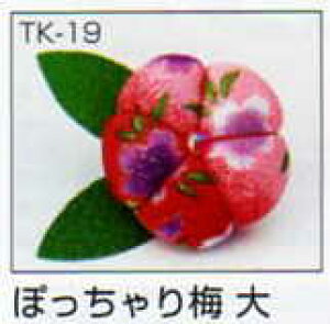 i 邵p[c ۂ~  TK-19 pi~ yKNz panami