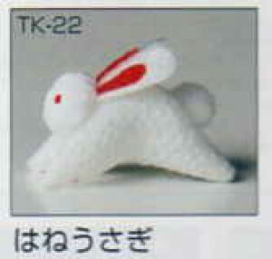 i 邵p[c ͂˂ TK-22 pi~ yKNz panami