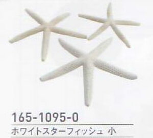 zCgX^[tBbVE No.066S 165-1095-0 8`12cm 3 H| yKNz