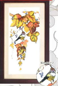 r[YfR[ Lbg ӁEY (10) BHD-126W ~L yKYz G߂̈ڂ낢12 miyuki