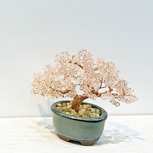 ~L nejitte beads BONSAI Lbg  Cherry blossoms HCA30//3 yKNz˂čr[Y~̓Zbg