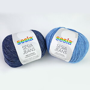 ZWA W[Y SESIA AyKNzT}[[ ю ҂ݕ 