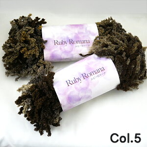 ݌Ɍ r[ }[i Col.5 XL[ю yKNz 2I ю ҂ݕ 1JZŃ}t[҂߂