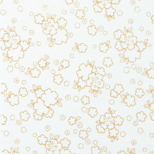 ݌Ɍ Ԃʂ肦 P HN-2 IpX yKNz ߂z ʂ̂ʂ肦 В 