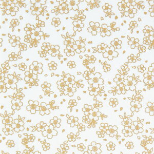 ݌Ɍ Ԃʂ肦  HN-3 IpX yKNz ߂z ʂ̂ʂ肦 В 