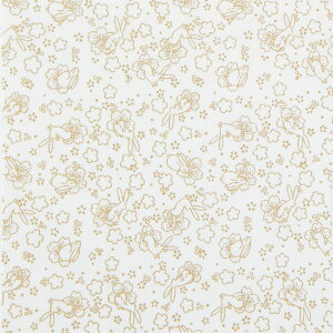 ݌Ɍ Ԃʂ肦 Ԍ HN-6 IpX yKNz ߂z ʂ̂ʂ肦 В 