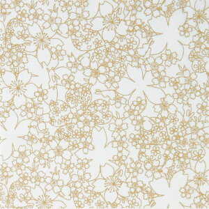 ݌Ɍ Ԃʂ肦  HN-7 IpX yKNz ߂z ʂ̂ʂ肦 В 