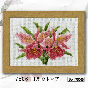 Lbg 1 JgA 7506 IpX yKYz ؐt[t NXXeb` hイ }[EJg[k