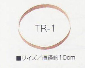 ݌Ɍ 邵p O 10cm | TR-1 pi~ 2F-D yRNz Panami 邵