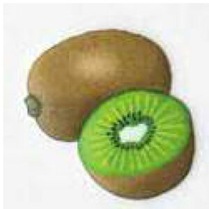 by ӂރAbvP LEC H458-411 n}iJ yKYz ACڒ AbvP