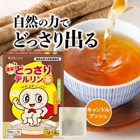 【楽天No1】どっさりデルリン茶 国産焙煎ごぼう使用 美味しいダイエットティー スリム カフェインレス【植物由来の美容健康茶】27種自然派成分 クレンズ キャンドルブッシュ お茶 10袋入り 国内GMP認定工場 飲みやすい 新日本ヘルス