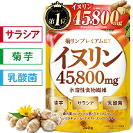 【楽天No1】イヌリン 高濃度 45,800mg 水溶性食物繊維 菊芋 サプリ サプリメント サラシア 乳酸菌 桑の葉…