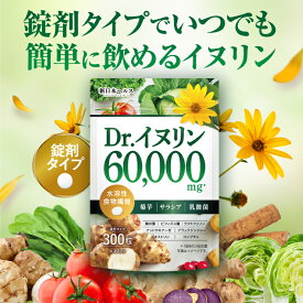 イヌリン 高濃度 60,000mg 水溶性食物繊維 菊芋 サプリ サプリメント サラシア 乳酸菌 桑の葉 ビフィズス菌 ラクトフェリン ナットウキナーゼ ブラックジンジャー デキストリン コンブチャ NMN 300粒 約30日分 新日本ヘルス 国内GMP認定工場製造