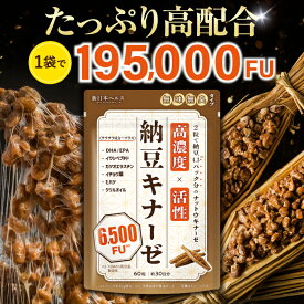 高濃度 活性 ナットウキナーゼ 高濃度 6500FU サプリ 納豆キナーゼ DHA EPA イワシペプチド カツオエラスチン イチョウ葉 ヒハツ クリルオイル 60粒 約30日分 新日本ヘルス サプリメント 国内GMP認定工場製造
