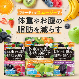 【機能性表示食品】美味しくキレイを叶える スムージー 体重やお腹の脂肪を減らす ファットダウンサポートスムージー 葛の花由来イソフラボン 14種のビタミンミネラル 113種の植物発酵エキス 8種のスーパーフード 120g 新日本ヘルス
