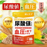 【楽天No1】【機能性表示食品】ルテオリンとGABAの極み 尿酸値を下げる 血圧を下げる ルテオリン GABA サ…