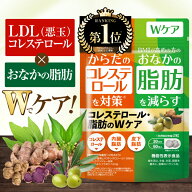 【楽天No1】コレステロール・脂肪のWケア コレステロール対策 お腹の脂肪対策 ブラックジンジャー オリー…