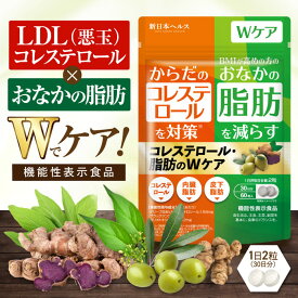 コレステロール・脂肪のWケア コレステロール対策 お腹の脂肪対策 ブラックジンジャー オリーブ 新日本ヘルス 1日2粒ケア 60粒 30日分 新日本ヘルス 国内GMP認定工場製造 ブラックジンジャー由来ポリメトキシフラボン オリーブ由来ヒドロキシチロソール