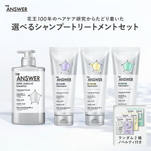 yz THE ANSWER Vv[Iׂg[gg{_2mxeBt Zbg | WAT[ X[p[ EX CXg OX yA  M J[ _[W 400ml 220g |v {