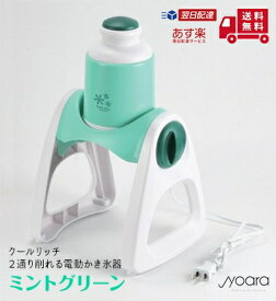 クールリッチ 2通り削れる電動かき氷器(ミントグリーン) 【 パール金属 】