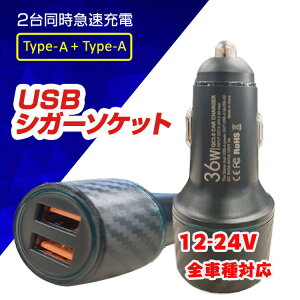 }[d X}z  }[d USB[d ^CvA 2A J[`[W[ ԍڃ\Pbg 12-24VԑΉ X}z ^CvA ԓ[d VK[\Pbg