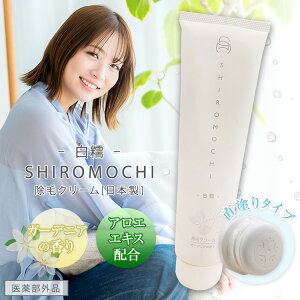уN[ { fB[X A_[wAN[ N[ Y  Sg jp э [o[ q jp _   SHIROMOCHI _ё΍