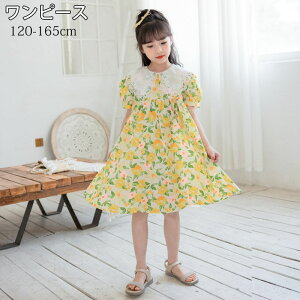 q qǂ ̎q  s[X t ĕ LbY K[Y hX   킢 s[X ʊw w  t \ ܎O  Ǝ q ̎q Lb