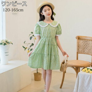 q LbY ̎q  s[X t ĕ qǂ K[Y hX   킢 s[X ʊw w  t \ ܎O  Ǝ q ̎q Lb