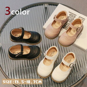 q C tH[} V[Y ̎q tH[}V[Y LbY \ w ʊw {Q  RXv C WjA q C p[eB[p sN x[W ubN 13.5cm 14cm 14.5cm 