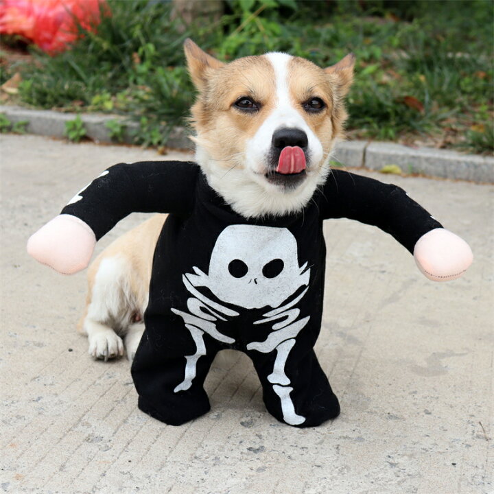 楽天市場】ペット服 犬服 仮装 犬 髑髏 どくろ ハロウィン 犬の服 犬 