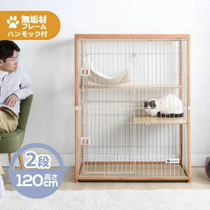 L P[W LbgP[W 2i 3i 120cm 175.5cm ؐt[ nbNt LX ^ LQ[W   LbgnEX lR nEX i  ی Eh~   X`[
