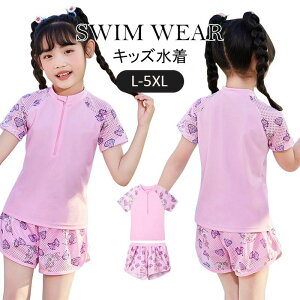  LbY ̎q Zp[g 2_Zbg tBbglX XCEFA LbY  bVK[h  Y{ XCX[c r[`EFA j XN[ LbY WjA K q