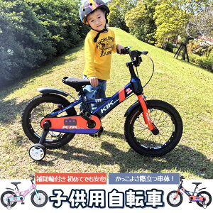 子供用自転車 16インチ 補助輪付き 幼児向け 自転車 スタンド ベル 泥除け プロテクター付き 誕生日プレゼント 男の子 女の子 ピンク ブルー選択可