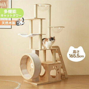 Lbg^[ L^[ Lbgc[ u jOzC[t  FD lR^[ 165.5cm 艺肵₷ ܂Ƃ|[ ؐ  qL ^L ybgpi 