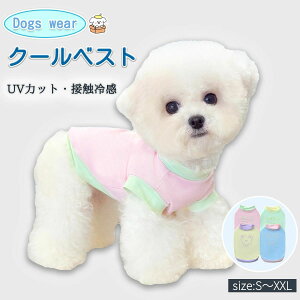  N[xXg hbOEFA Nꃋ ⊴ t   ėp ^ ^Ngbv m[X[u K UVJbg ڐG⊴ Ђ z MǑ΍ ΍ ʋC q [h