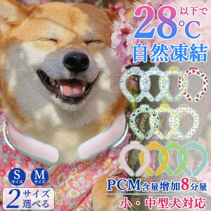 y2025tBbgǁIz Ђ ObY U  N[ O ⊴O ACXN[O L ybgp  p ⊴ ObY lbN N[[  ԎR O 