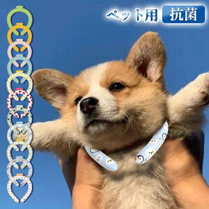 _ċGlC^ybgp ⊴O Lp ⊴lbNN[[ p N[lbN p lbN ۗ   ̕  ΍ PCMf Ђ胊O poh ACX O I