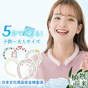 N[lbNOy25N 80%呝 ԉΑ̕K{izACXlbNO ЂObY ⊴O N[O lbNN[ ACXlbNO pO N[lbN 