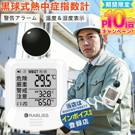 ★義務化対応モデル★ 熱中症指数計 黒球式熱中症指数計 熱中症対策 球式 黒球 WBGT 測定器 ラブリス 小林薬品 熱中症計 温湿度計 時計表示付き アラーム機能 カラビナ付 暑さ指数計 温度計 屋内 屋外 学校 シンプル 予防用具 グッズ 工事現場 現場用 野外 企業 団体用