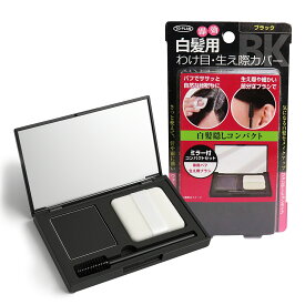 生え際 パウダー ヘアファンデーションの商品画像