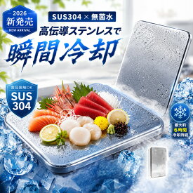 【急速冷凍 すぐ冷える】ステンレス保冷剤 保冷材 冷凍庫 短時間で冷える 使い捨て不要 お弁当 クーラーボックス キャンプ アウトドア 送料無料 保冷剤