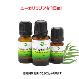 楽天市場 ユーカリ ラジアタの通販