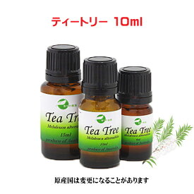 エッセンシャルオイル 精油 天然アロマオイル ティーツリー ティートリー 10ml